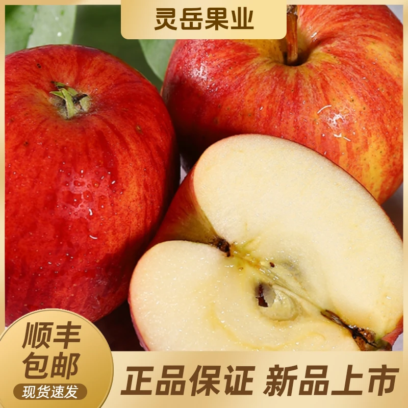 【陈灵岳甄选】新西兰神仙果脆甜多汁一份8-16个 净重约2-4斤