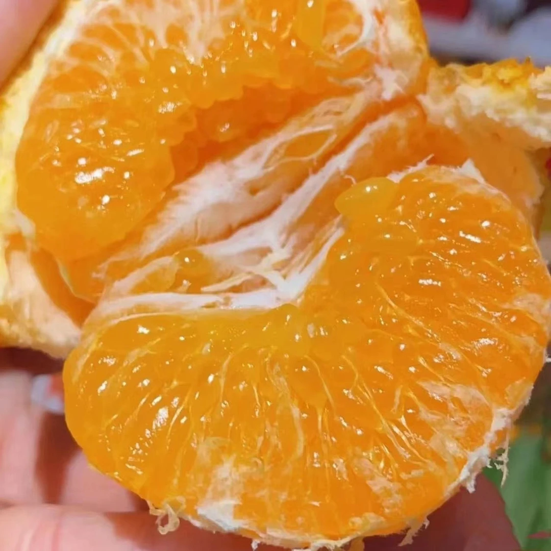 【陈灵岳甄选】“连浩” 四川正宗春见耙耙柑一份 净重4.5-7斤