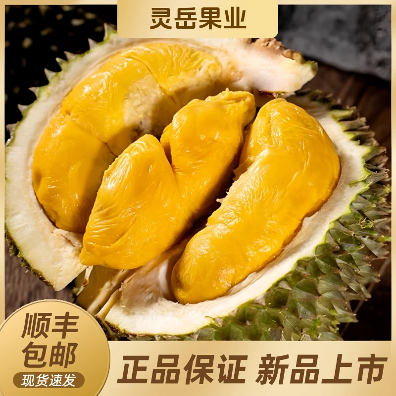 【陈灵岳甄选】黑刺D200进口鲜果榴莲一颗（到手即食）净重约2-5斤