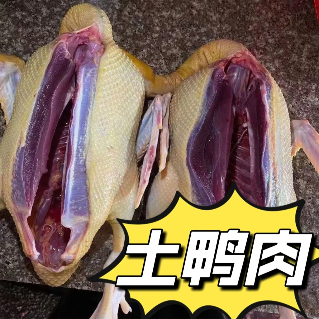 农村土鸭肉老鸭肉一称一拍