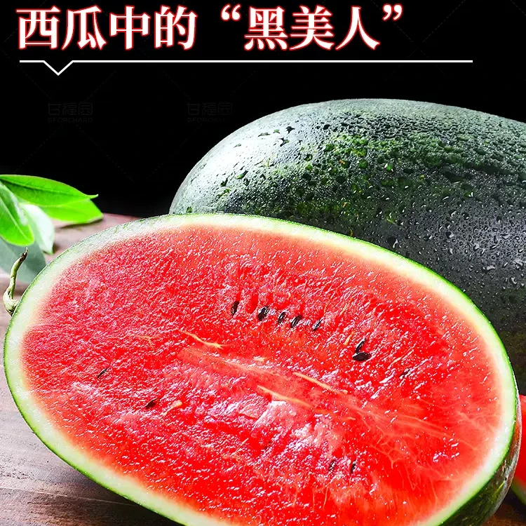 【缤纷可芒】黑美人西瓜/个,大西瓜冰淇淋西瓜新鲜超甜