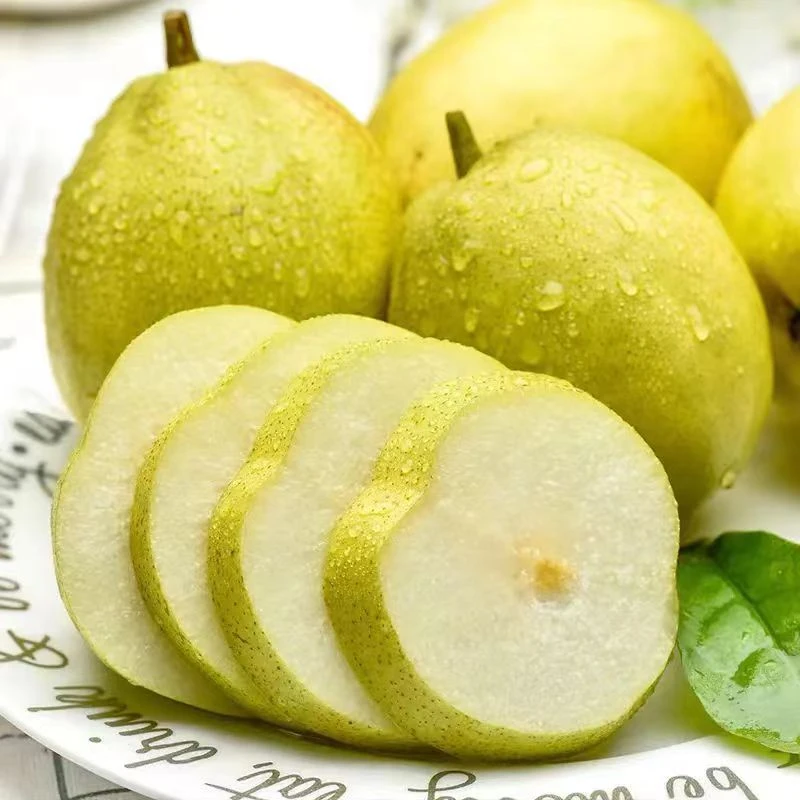 【缤纷可芒】库尔勒香梨4斤/份