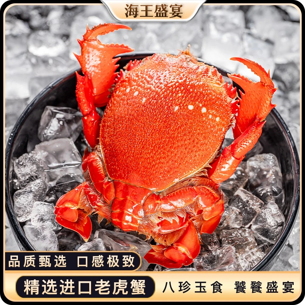 海王盛宴新鲜冷冻鲜活速冻冰冻老虎蟹虎头蟹贵妃蟹旭蟹火锅食材
