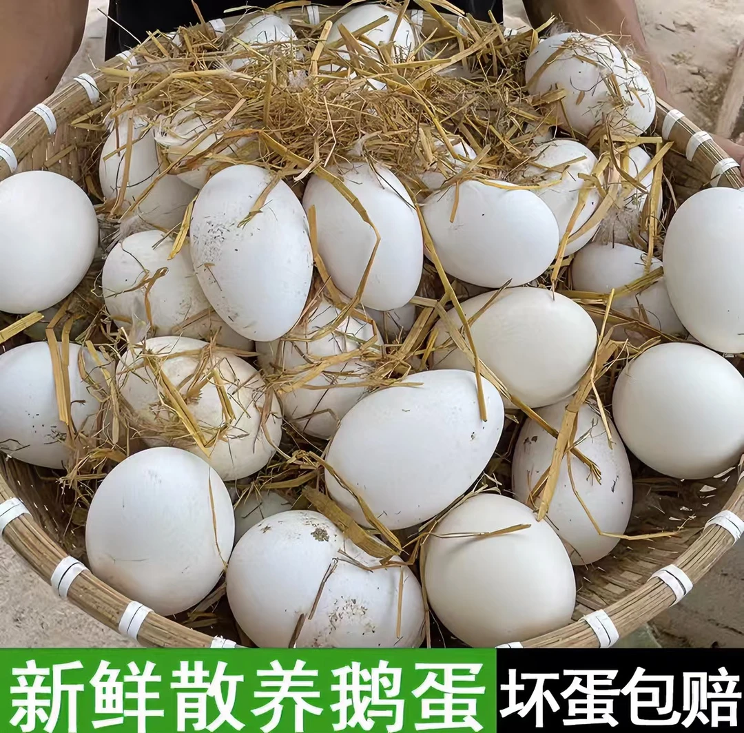 【珠珠家】新鲜农家散养鹅蛋一箱12枚单枚重120g左右 损坏包赔