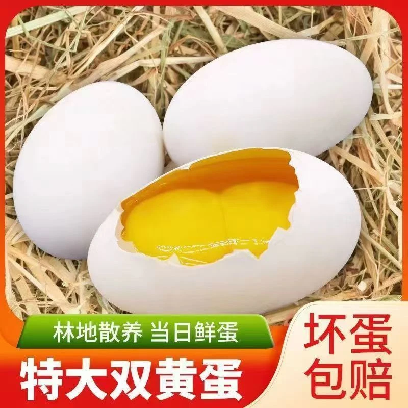 【珠珠家】现捡现发新鲜散养双黄鹅蛋12个装单个重130-150g