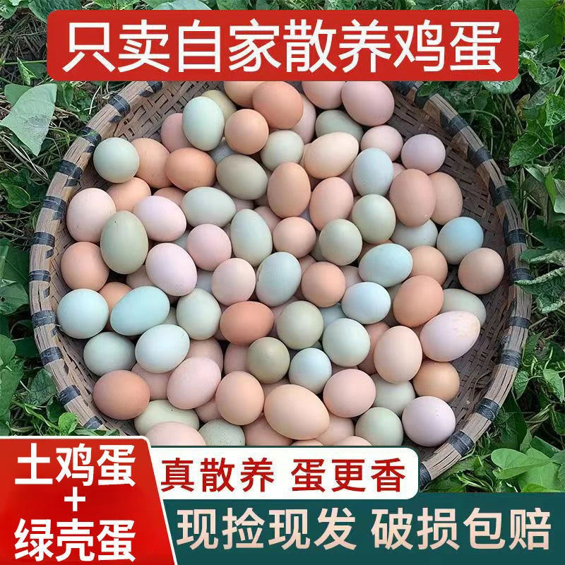 【玉兰家】买20枚土鸡蛋送20枚乌鸡蛋共40枚  能给好评在拍
