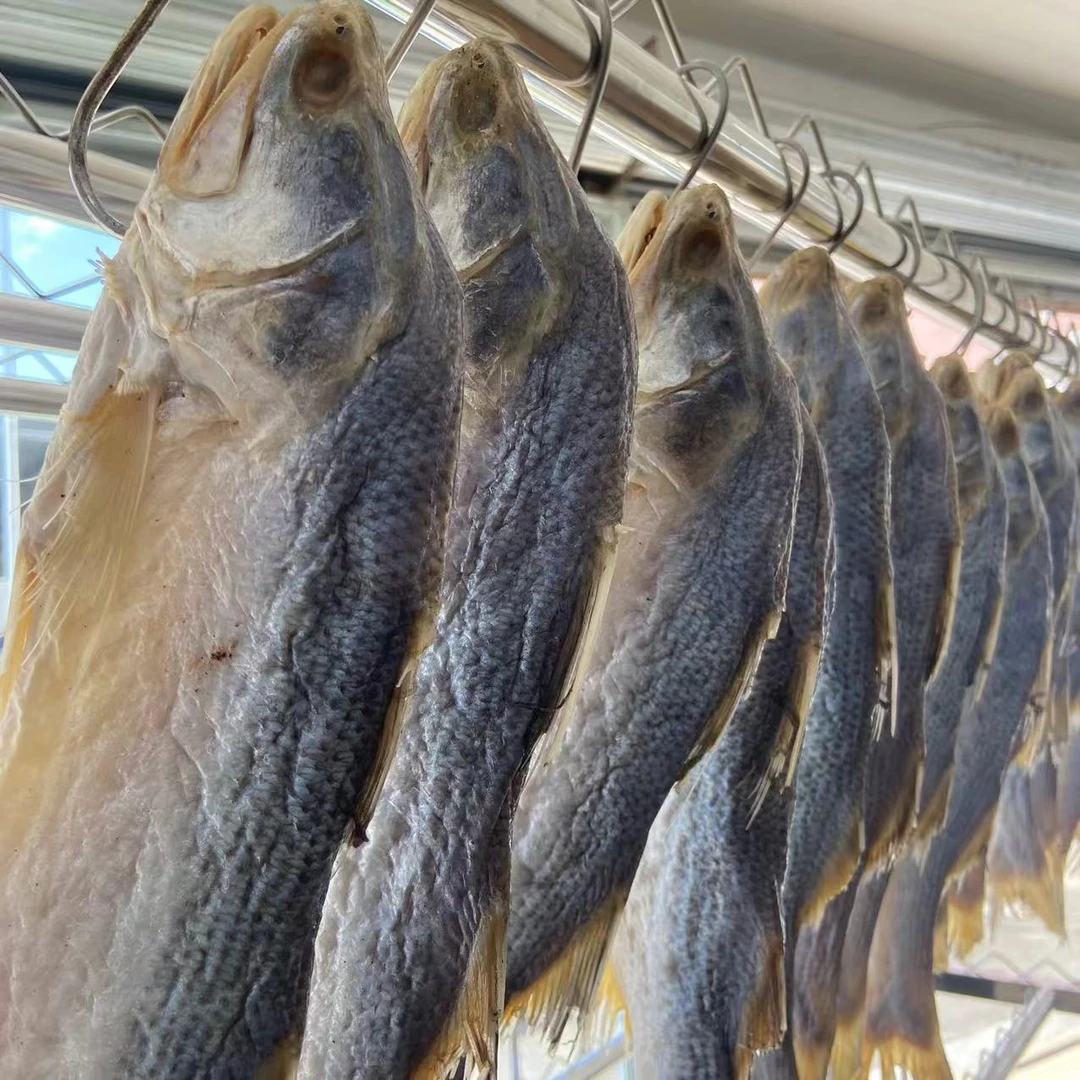 台山特产自晒马友鱼干新鲜生晒咸鱼干咸香鱼干