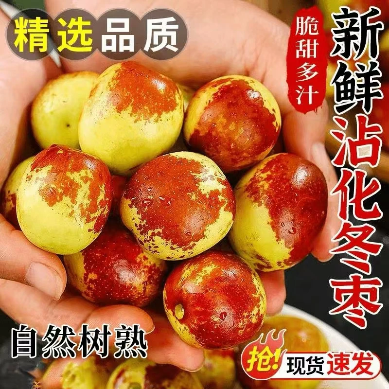 【原产地发货】沾化冬枣5斤装现摘现发脆甜多汁当季新鲜水果鲜枣