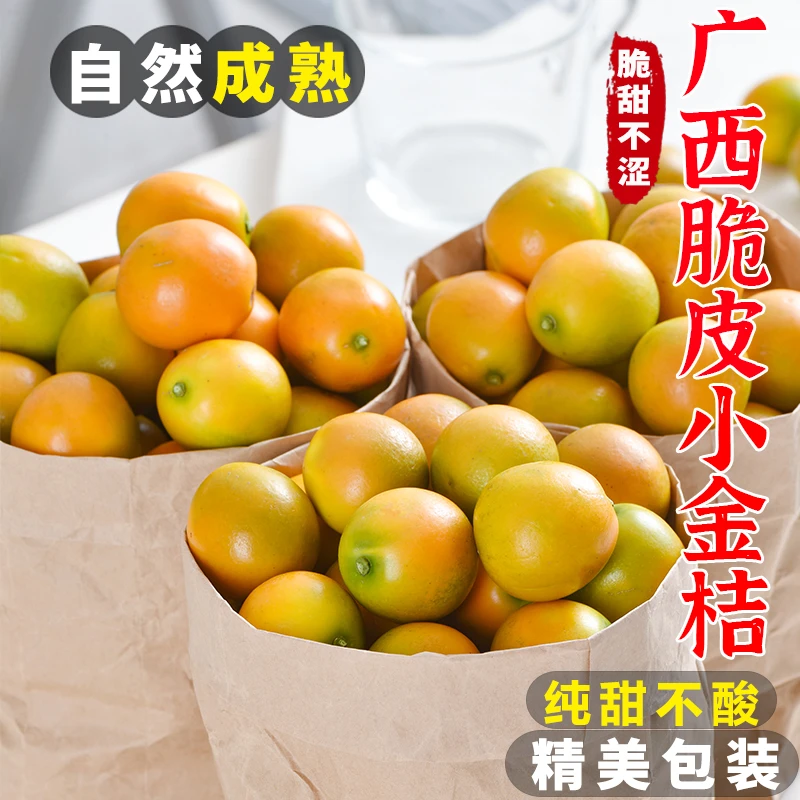 【纯甜不酸】广西桂林脆皮金桔3/5斤桔子应当季现摘新鲜水果包邮A2