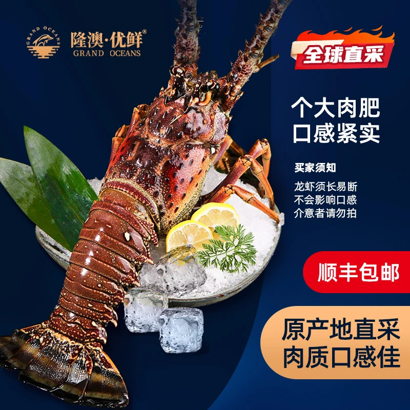 隆澳优鲜  大西洋岩龙虾约630-740g/只
