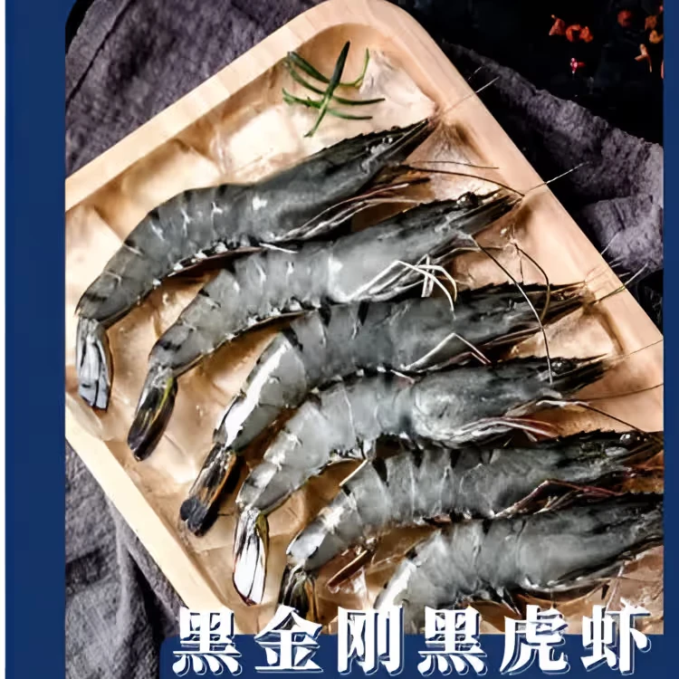 马来黑虎虾8头约500g
