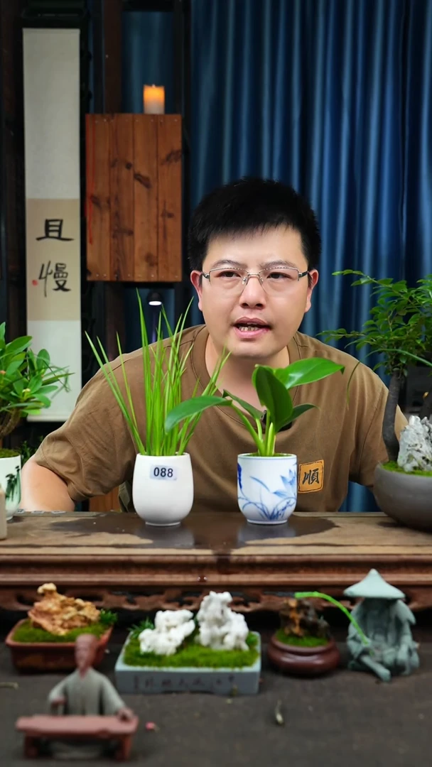 【闪购商品】苔藓微景观088号
