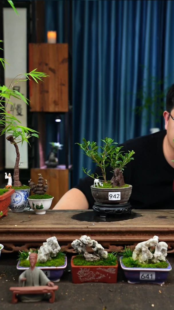 【闪购商品】苔藓微景观942号