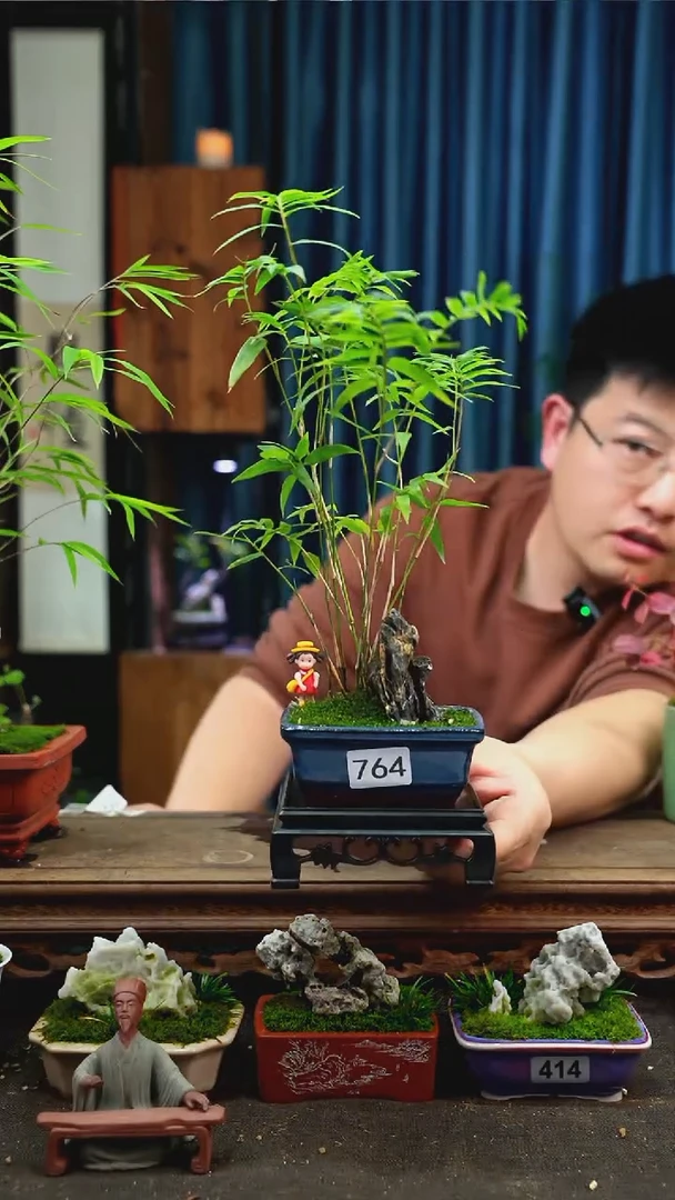 【闪购商品】苔藓微景观764号