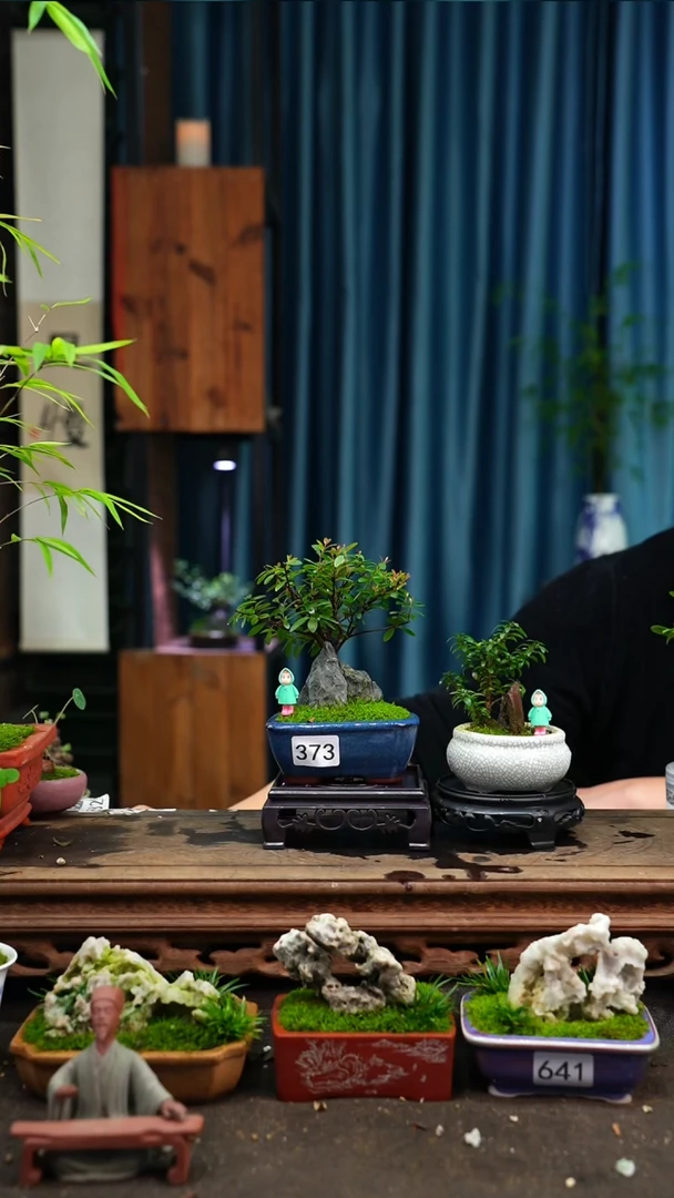 【闪购商品】苔藓微景观373号