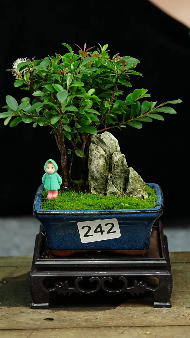 【闪购商品】苔藓微景观242号