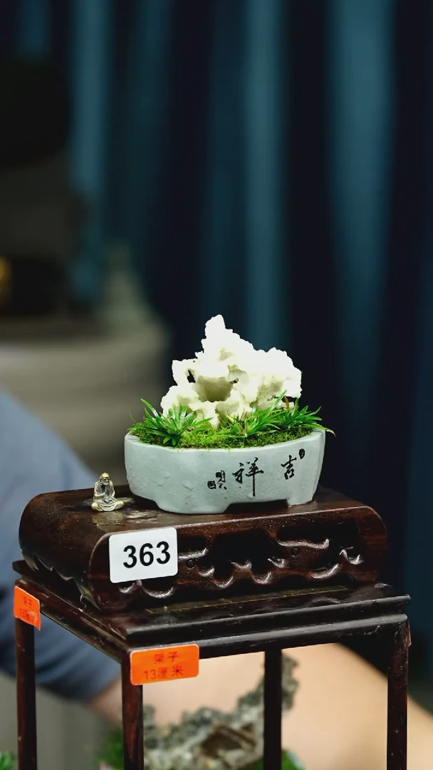 【闪购商品】苔藓微景观363号