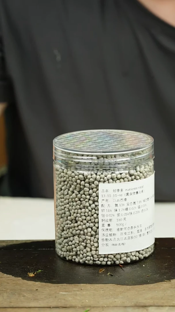 【闪购商品】苔藓微景观好康多500g
