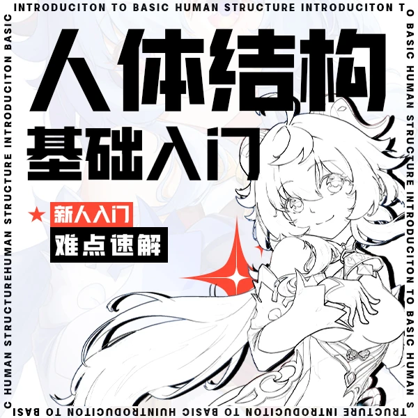 【从零开始学板绘】人体结构绘画基础教程 新手入门 难点速解