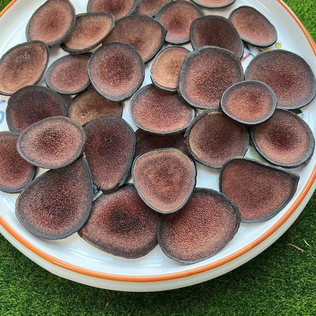 【高】红粉片茸茸 炖汤泡酒（胶）