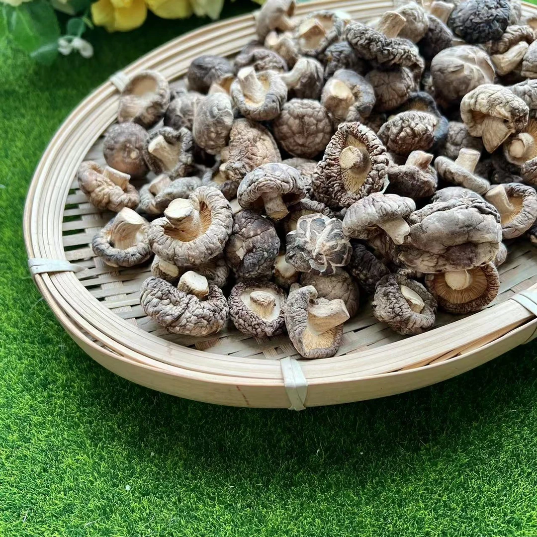 【宠粉】精选一口菇脆嫩小香菇啖啖肉