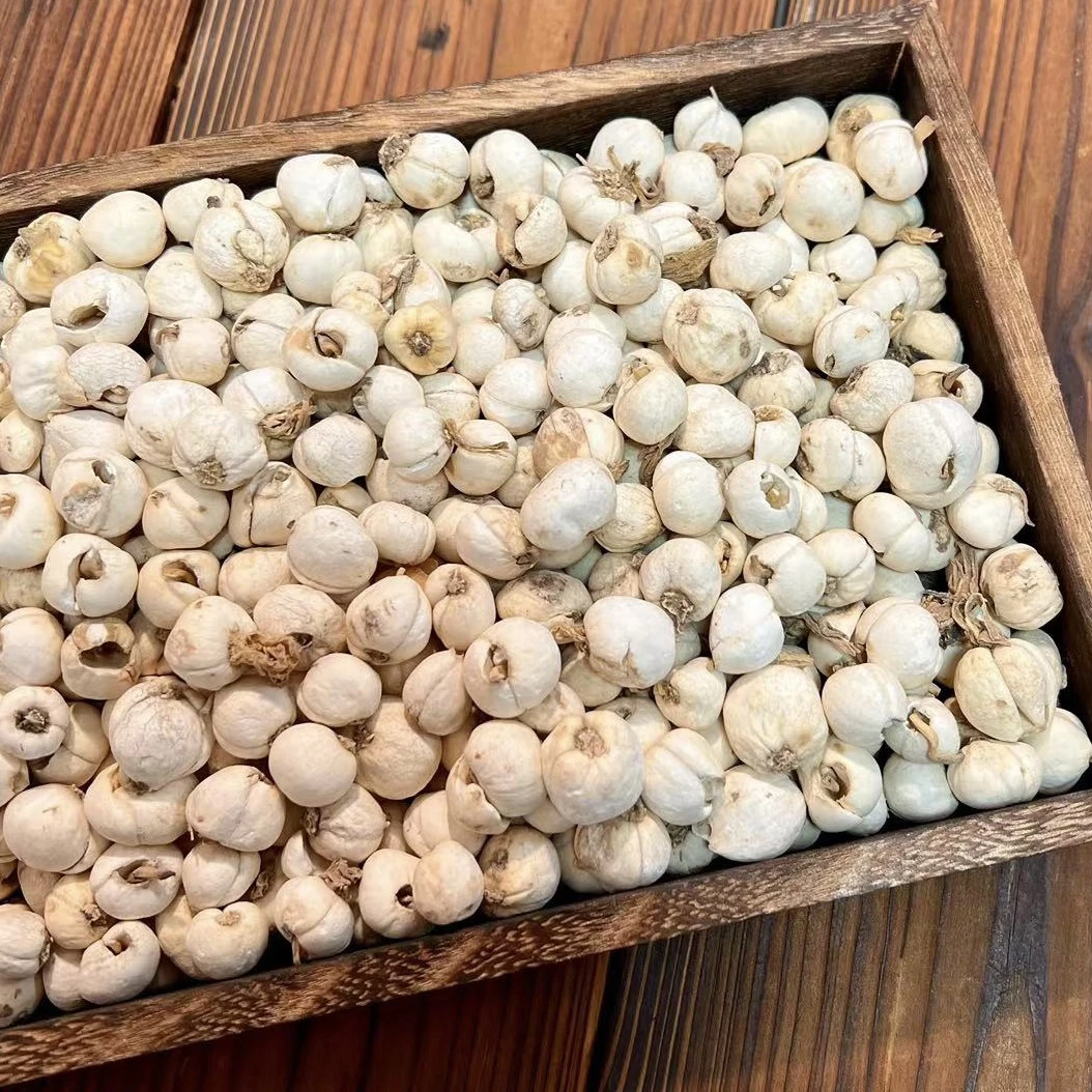 【双十一宠粉】高海拔原色藏贝母 自然生长