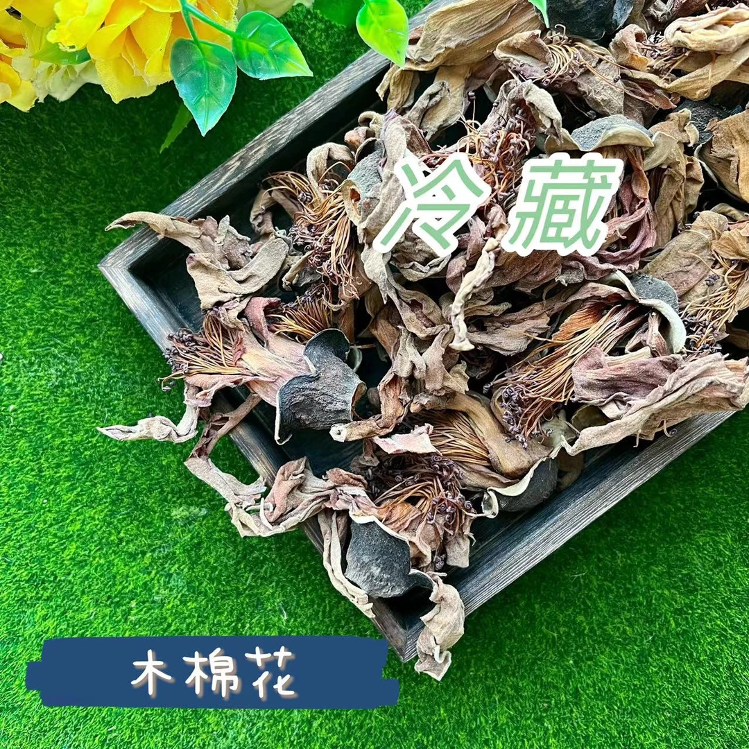 原朵木棉花 煲汤煮水好物