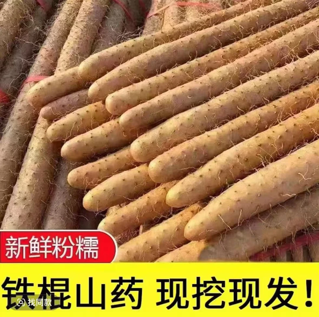 【五斤铁棍山药】软糯产地直发营养香甜原产地20-40厘米