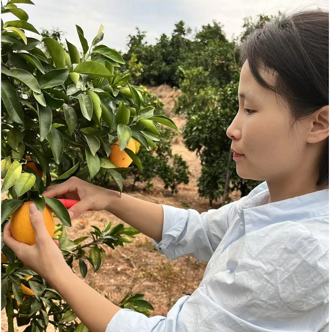 【正宗】江西赣南脐橙、现摘现发、果园直发、坏果包赔