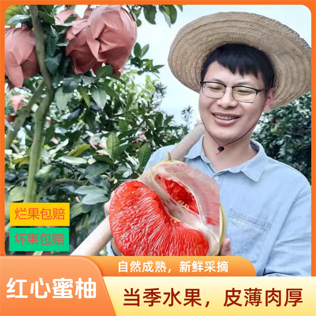 【精品礼盒果王装】1老树海南红心蜜柚皮薄肉厚新鲜孕妇柚子4-9斤