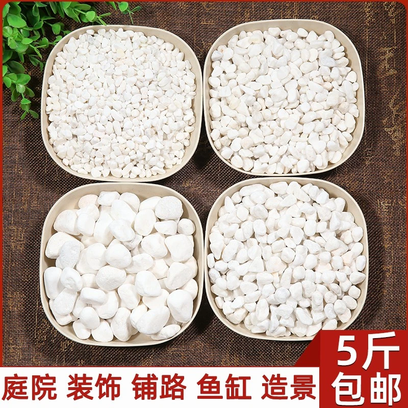 白石子鹅卵石天然雨花石多肉铺面石花盆鱼缸造景装饰用白色小石头