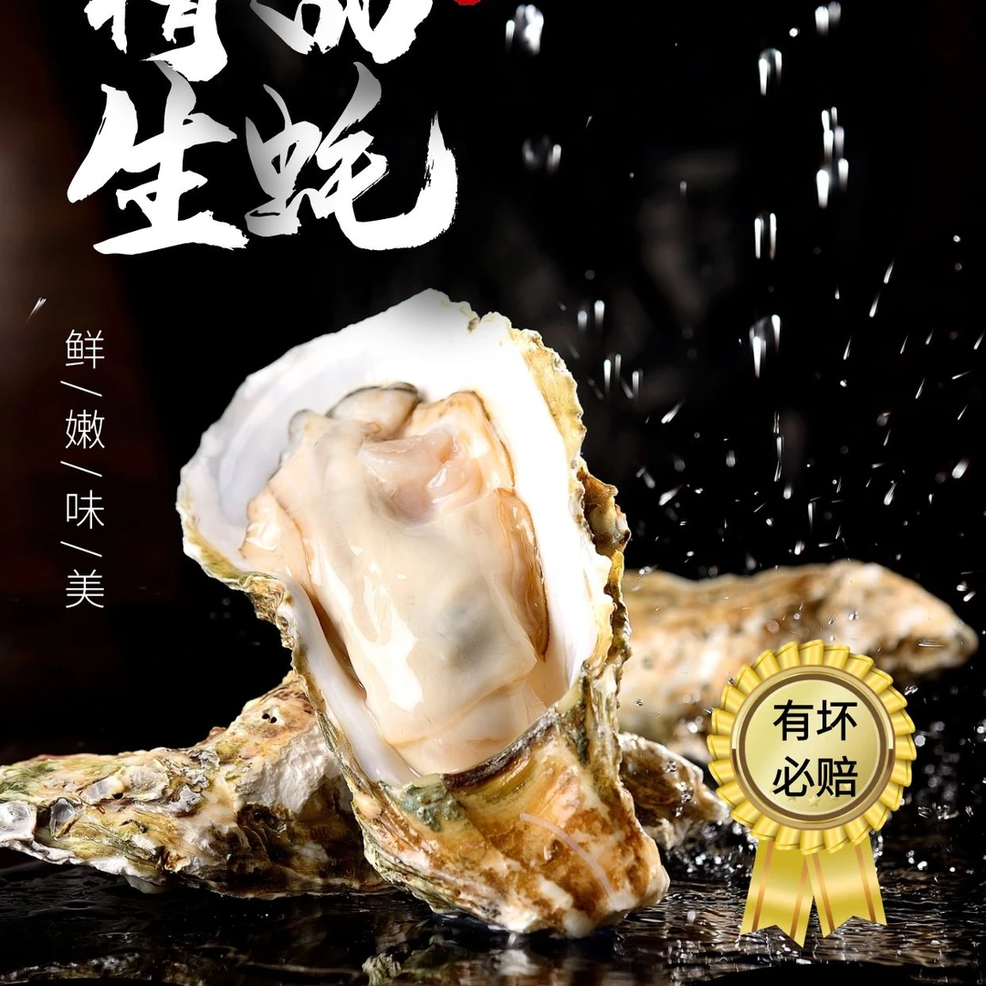 4+生蚝5斤左右15个 三道清洗过滤可刺身生蚝