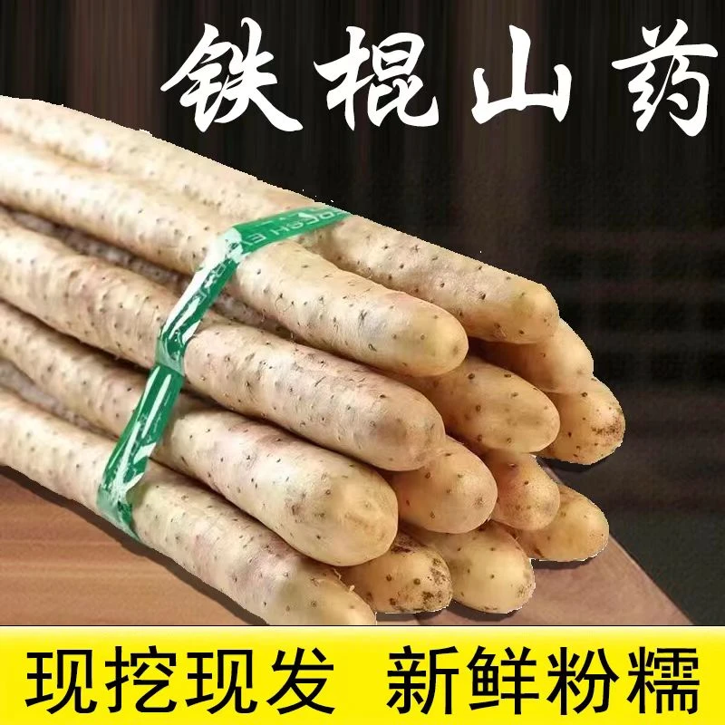 铁棍山药小白嘴山药新鲜原产地直发带土箱5斤30-50厘米粉糯甘面