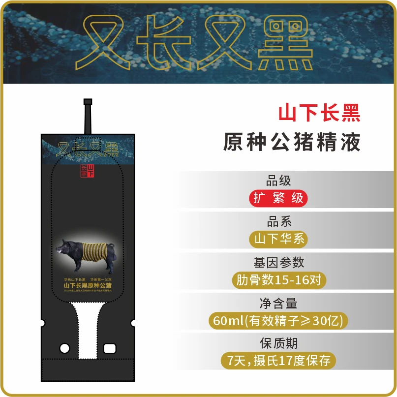 山下长黑原种公猪精液（扩繁级）种猪 种公猪 猪精 地方品种猪 猪场
