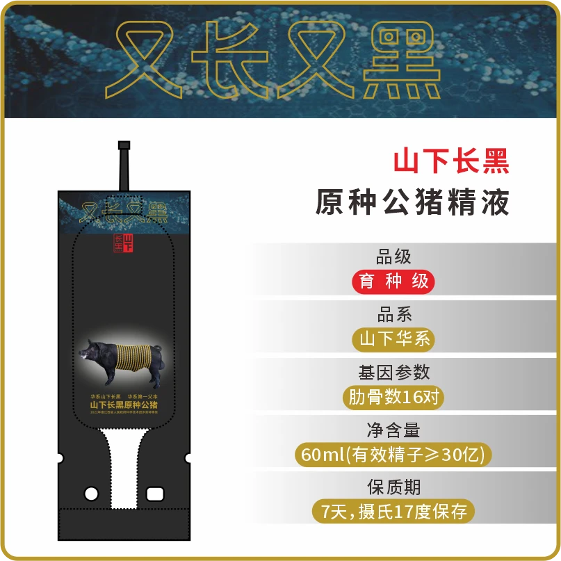 山下长黑原种公猪精液（育种级）种猪 公猪 原种猪 种公猪 猪精