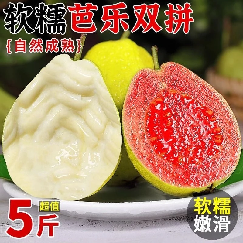 【坏果包赔】广西5斤芭乐番石榴红白心混装软心糯一整箱包邮新鲜果