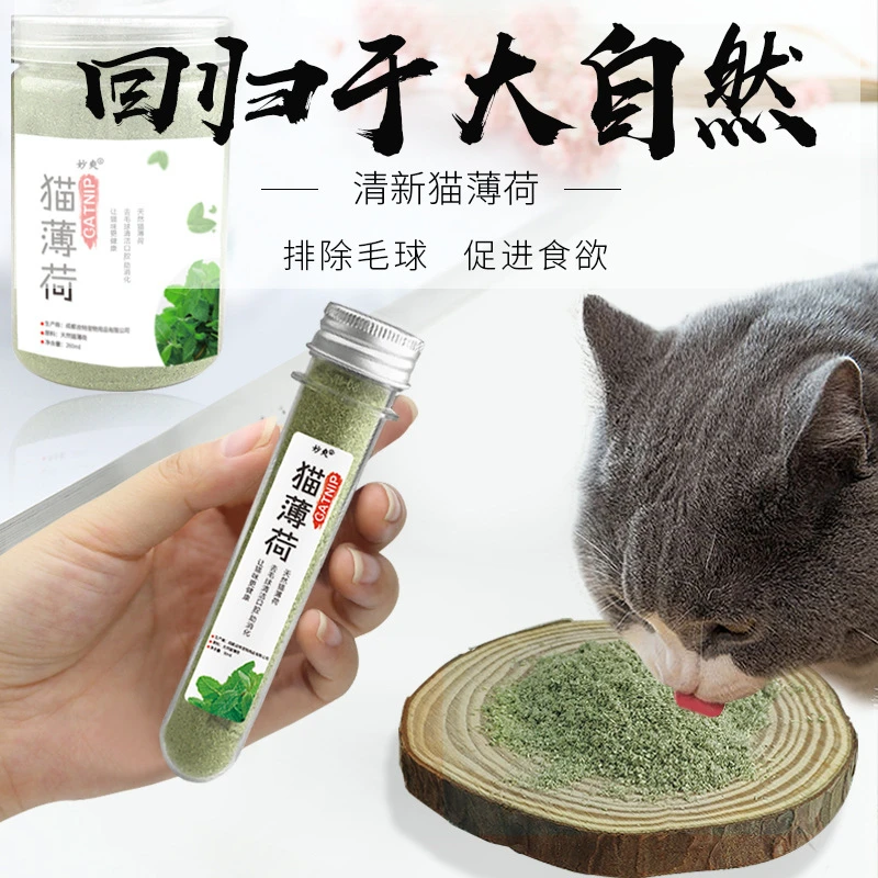 猫薄荷粉球猫咪草化毛零食用饮水营养猫簙荷叶捕养猫神器玩具用品