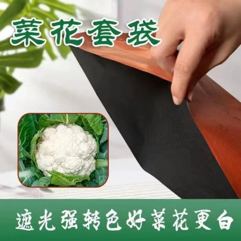 散花松花套袋专用袋有机花菜套袋防虫新款菜花防晒透气防雨水套袋