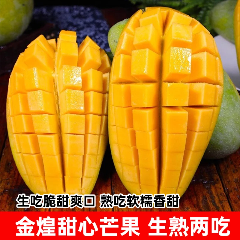 广西青皮金煌芒 新鲜应季水果 现摘现发【放软食用】 5斤/8斤