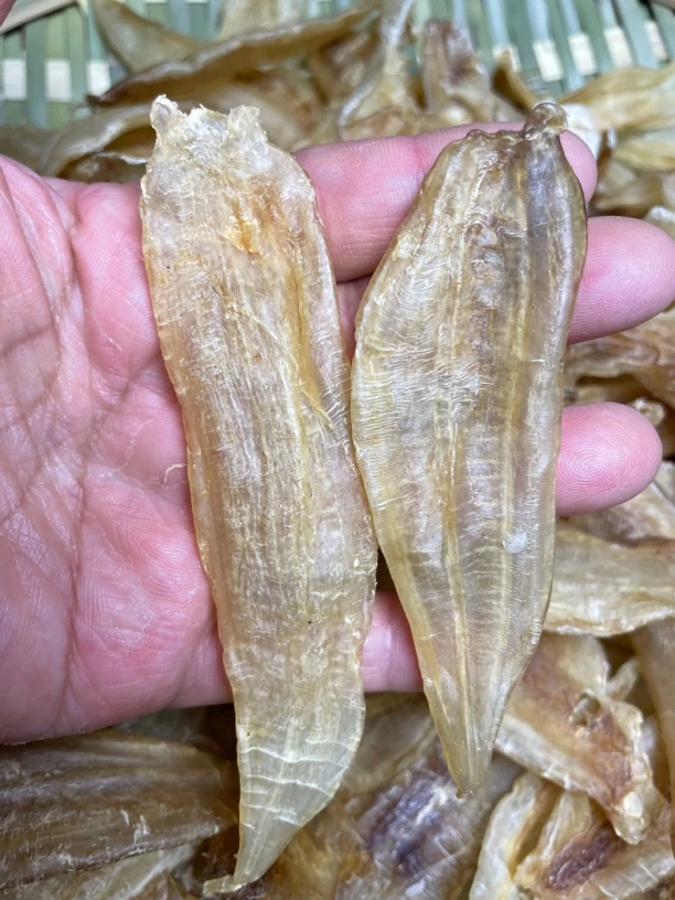 F10 金龙鱼胶 女人胶 1-500g 花胶干货 广州清平