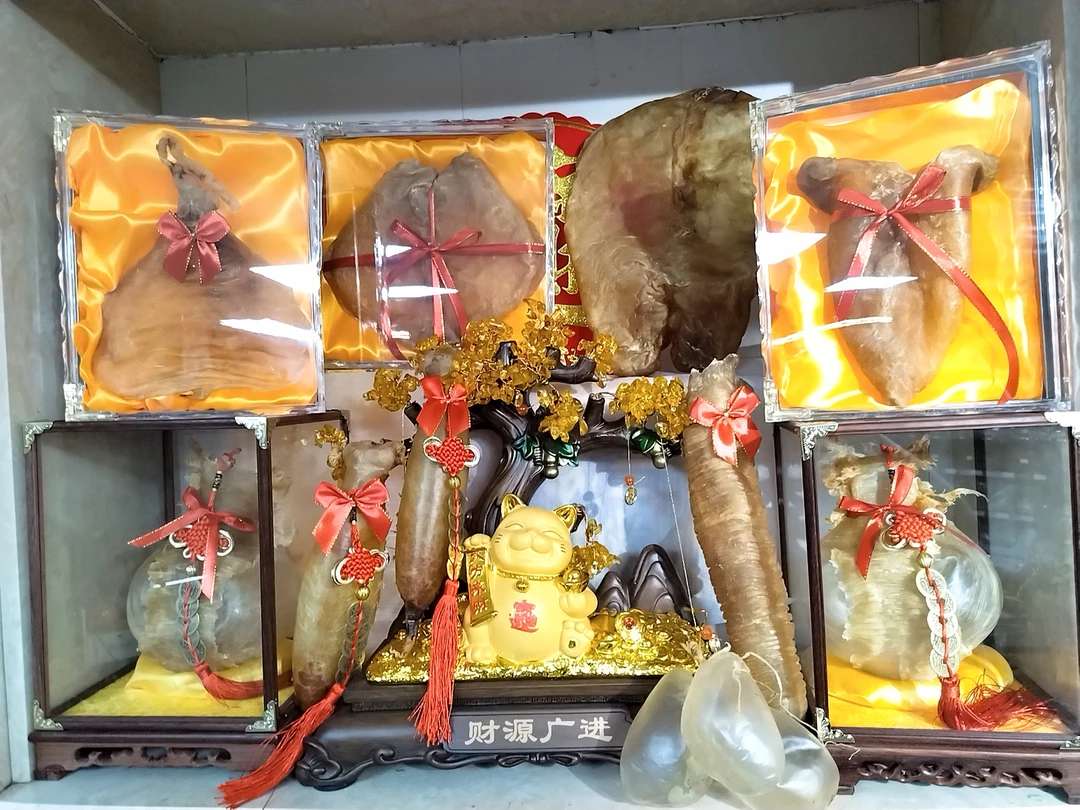 F01 散称单 鱼胶黄花鳕鱼佐罗鲈鱼鱼胶1-500g 广州清平
