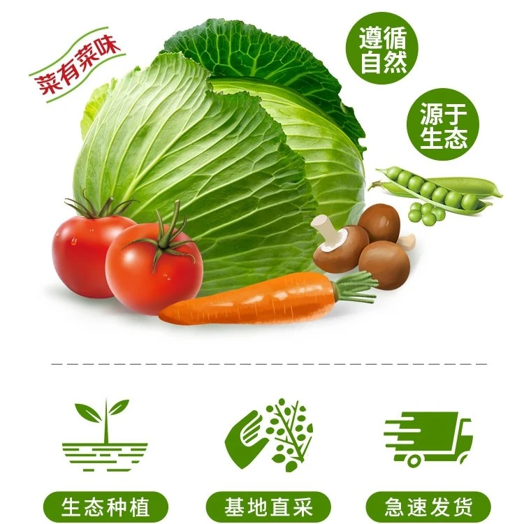 大连神农谷5斤蔬菜组新鲜采摘 送货上门