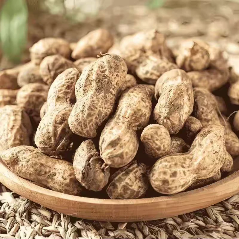 大连溯源白沙湿花生4.5斤新鲜采摘，京东送货上门