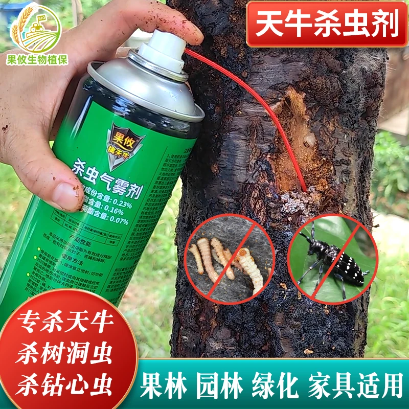 杀天牛立毙气雾剂果树杀虫剂蛀虫松树木材杀虫蛤虫擒钻心幼虫专用