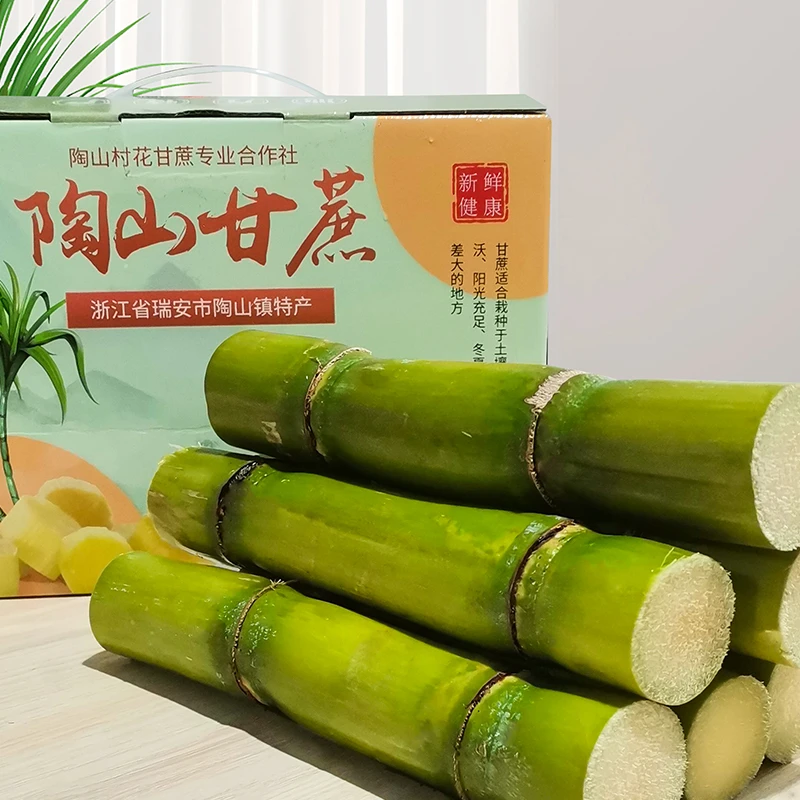 【一节两节特价】陶山青皮甘蔗 脆甜带水裂一节两节混装9～12段5斤装