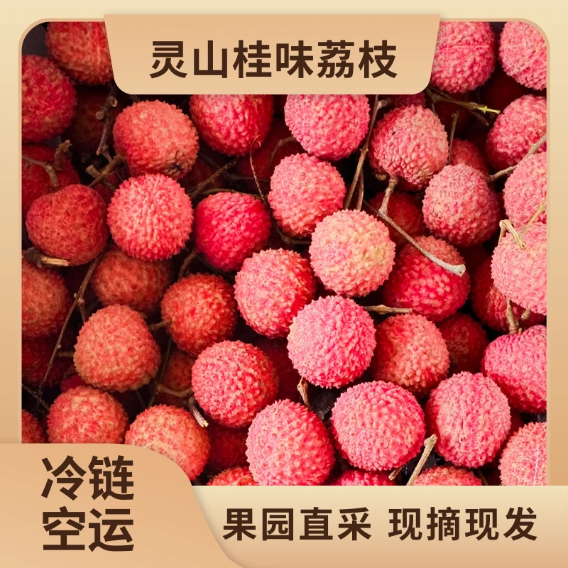 【顺丰京东冷链包邮】广西灵山桂味荔枝原产地直发4.5斤冷链包邮