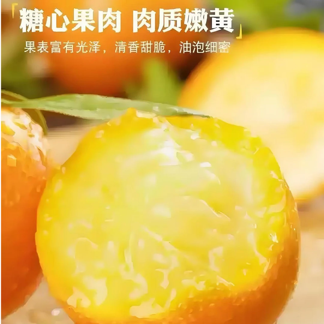 花果山精选脆蜜金柑450g/份