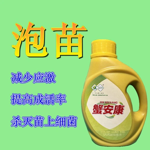 渔状元蟹安康—增强蟹苗活力