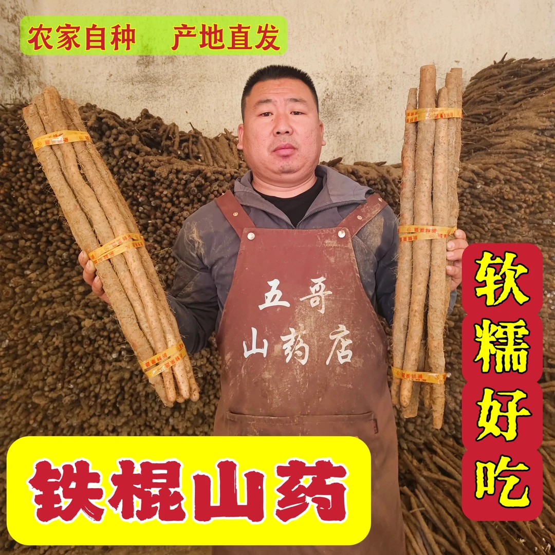 五哥铁棍山药粉糯香甜蠡县新鲜铁杆淮山产地直发营养高农家种植