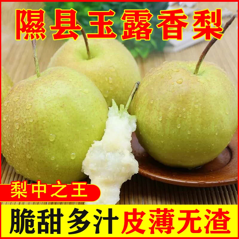正宗山西玉露香梨雨露梨子当季现摘新鲜水果脆甜无渣整箱新鲜苹果